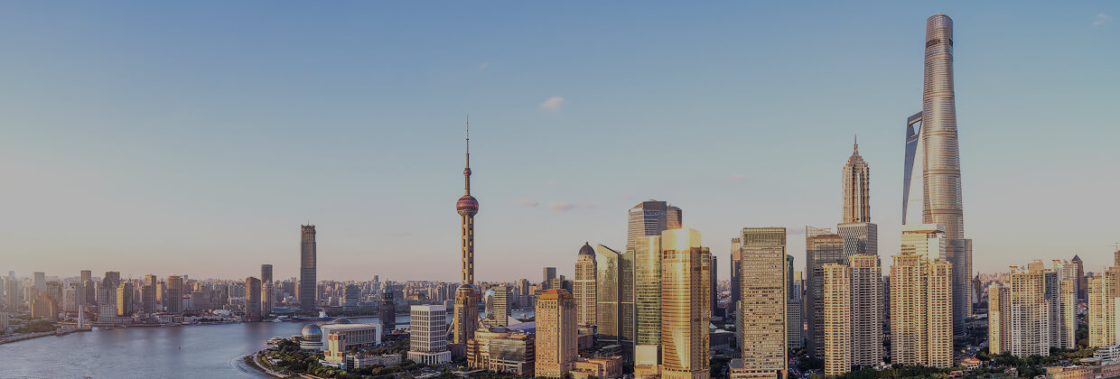 公司介紹